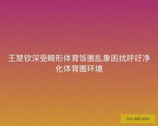 王楚钦深受畸形体育饭圈乱象困扰呼吁净化体育圈环境