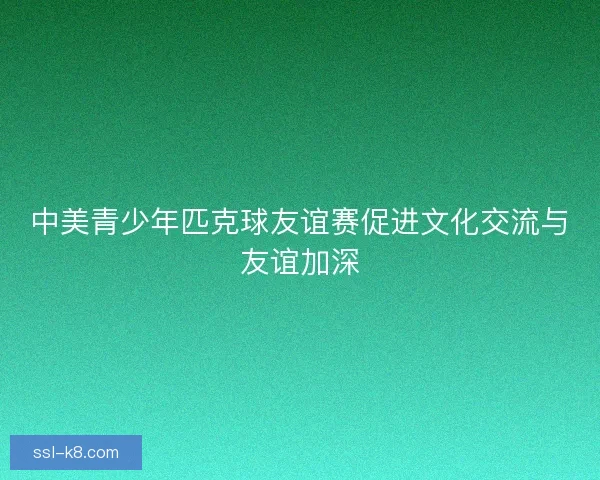 中美青少年匹克球友谊赛促进文化交流与友谊加深 中美青少年匹克球友谊赛促进文化交流与友谊加深
